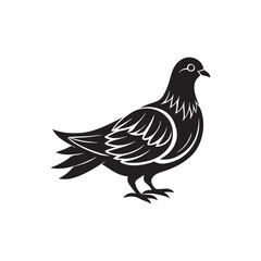 Pigeon silhouette vector, black and white silhouette, vector and illustration