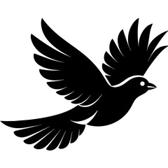 dove of peace vector