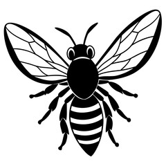 illustration of a bee