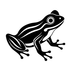 frog on white background