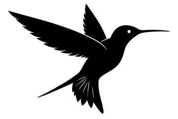 hummingbird silhouette vector illustration