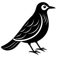 bird on a white background