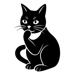 black and white cat