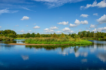 Fototapeta premium A blue sky with friendly clouds reflects in the water of the Berkel river which has been restored to its original state, near Zutphen, The Netherlands