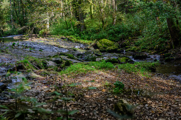 Ein kleiner Wasserfall im Wald