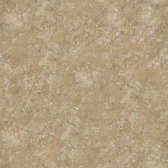 Seamless texture of the earth's surface