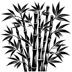 bamboo illustration