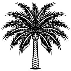 palm tree silhouette