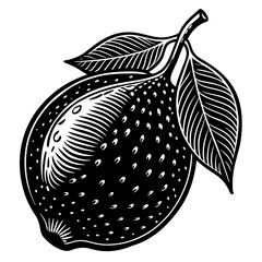 illustration of an apple with leaves