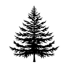 white-spruce-tree-silhouette
