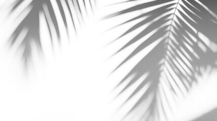 Shadows from tropical leaves