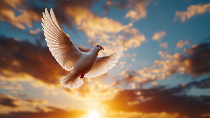 white dove flying gracefully in sky, illuminated by rays of light during sunset, symbolizes peace and hope. vibrant clouds enhance serene atmosphere