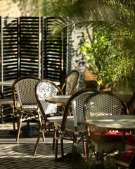 Restaurant, cafe for events, dining with chairs and tables. Atmospheric Italian, Spanish terrace with greenery. Sunny Portuguese place to relax. Restaurant at hotel. Lots of plants in establishment