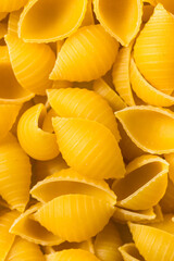 Dry Organic Conchiglie Pasta Shells