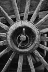 Rueda carro blanco y negro