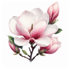 Obraz premium watercolor orchid flower