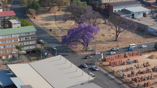 Traffic drives past purple Jacaranda tree, seen from above. Dry field, brickyard and residential block of flats surround the intersection