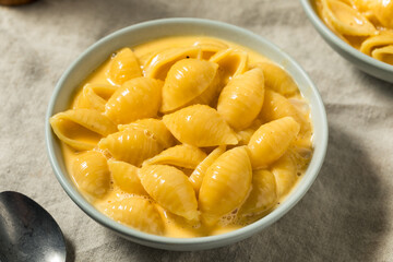 Warm Homemade Macaroni and Cheese Pasta Shells