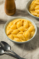 Warm Homemade Macaroni and Cheese Pasta Shells