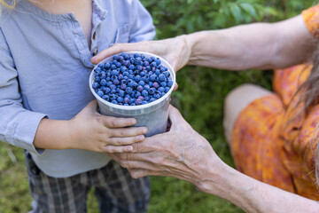Young boy and his grandmother are holding a container overflowing with freshly picked blueberries. Selective focus