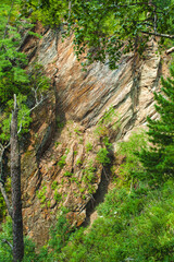 This image showcases a rugged rocky cliff covered with patches of vegetation