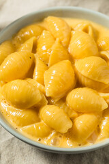 Warm Homemade Macaroni and Cheese Pasta Shells