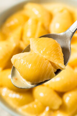 Warm Homemade Macaroni and Cheese Pasta Shells