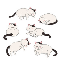 Set of funny doodle cats in different poses. Pets are sleeping comfortably. Vector illustration for design.
