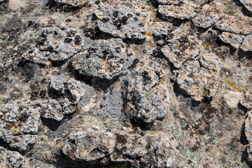 Rock surface covered with coloured lichens and mosses closeup as natural background