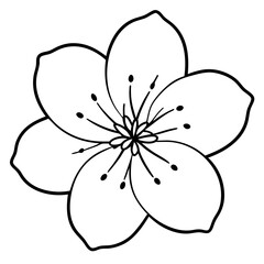 black and white flower