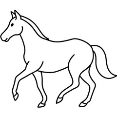 horse illustration