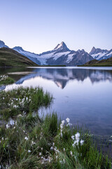 Bachalpsee Lake The Early Morning