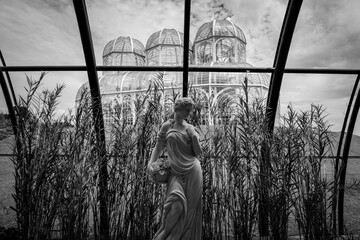 silhouette of a girl