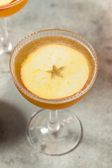 Boozy Cold Autumn Apple Cider Martini Cocktail