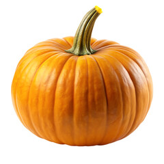 Obraz premium pumpkin isolated on white background
