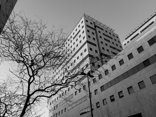 building in the city