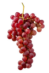 Red Globe grape bunch isolated