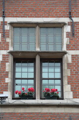 Charming Brick Facade with Classic Windows and Red Geraniums in Antwerp Historic District
