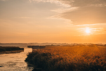 Sonnenaufgang am Federsee in Bad Buchau, Oberschwaben – goldenes Licht über Wasser und Schilfwiesen. Der Federsee, einer der größten Moorseen Süddeutschlands, ist ein wertvolles Naturparadies.