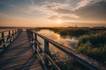 Fototapeta premium Sonnenaufgang am Federsee in Bad Buchau, Oberschwaben – goldenes Licht über Wasser und Schilfwiesen. Der Federsee, einer der größten Moorseen Süddeutschlands, ist ein wertvolles Naturparadies.