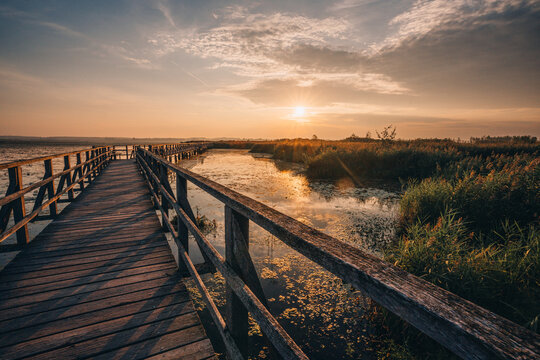 Sonnenaufgang am Federsee in Bad Buchau, Oberschwaben &ndash; goldenes Licht &uuml;ber Wasser und Schilfwiesen. Der Federsee, einer der gr&ouml;&szlig;ten Moorseen S&uuml;ddeutschlands, ist ein wertvolles Naturparadies.