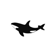 Fototapeta premium A black and white silhouette of an orca or killer whale swimming 