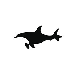 Obraz premium A black and white silhouette of an orca or killer whale swimming 