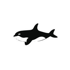 Obraz premium A black and white silhouette of an orca or killer whale swimming 