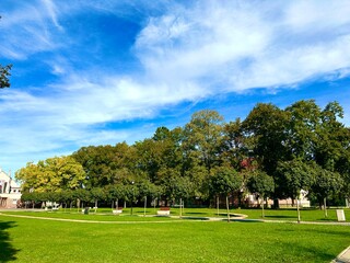 green park for relaxation without people