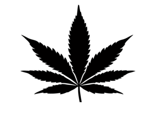 a black leaf silhouette