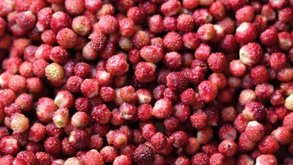 Red background of ripe wild strawberries. Close-up, top view.