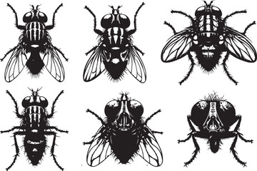Flying Insect Clipart black Silhouette Set