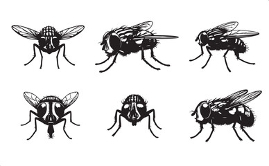 Flying Insect Clipart black Silhouette Set
