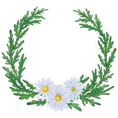 Green leafy wreath with three white daisies at the base. Hand-drawn watercolor illustration, naive style, simple and soft. For greeting cards, botanical designs, invitations, and decorative elements